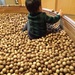 在宅ワークをスタートさせて・・その2